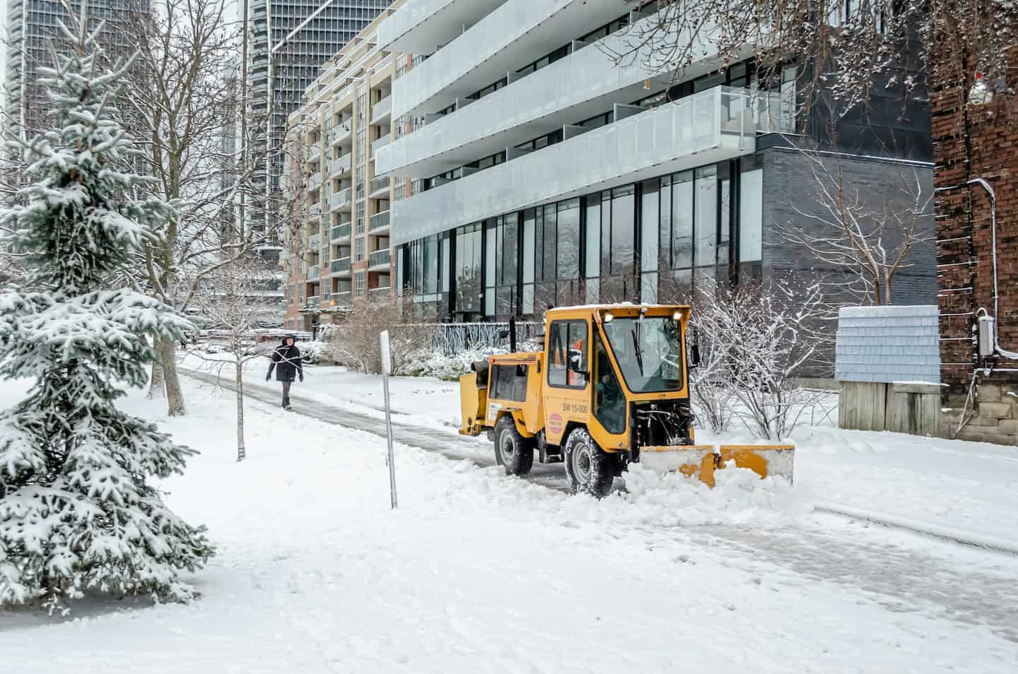 ice management services